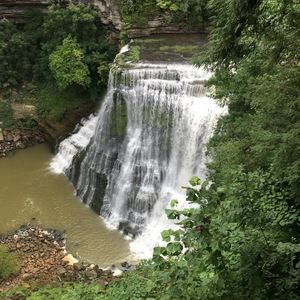 Meet your Posher, Bailey